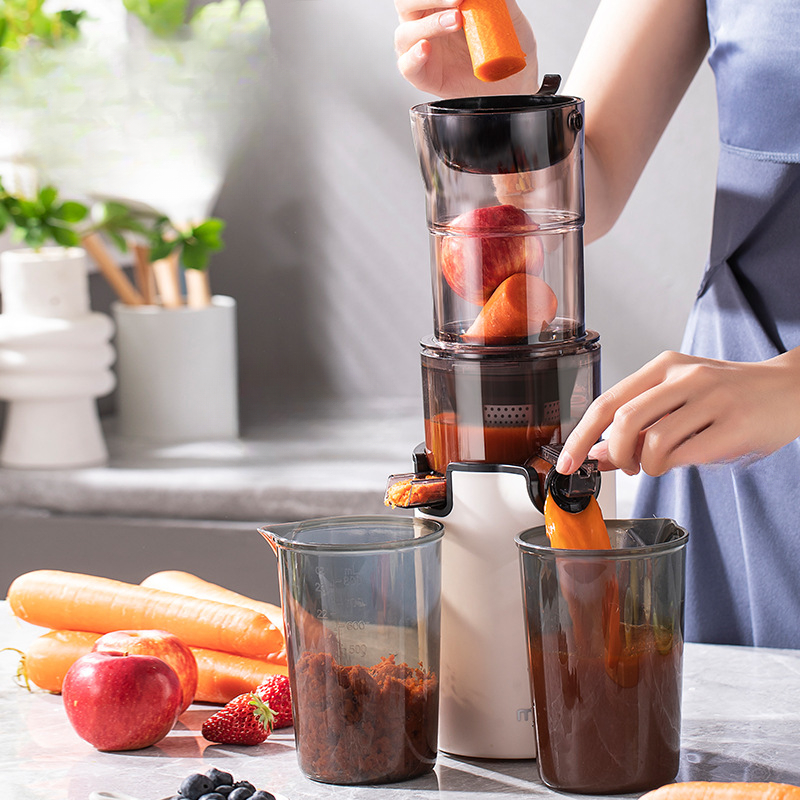 220V Household Electric Slow J - Citrus Juicer Bar recension och pris